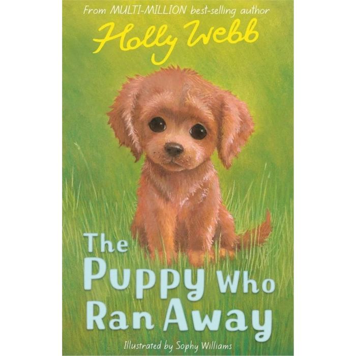 Holly Webb Animal Stories: The Puppy Who Ran Away