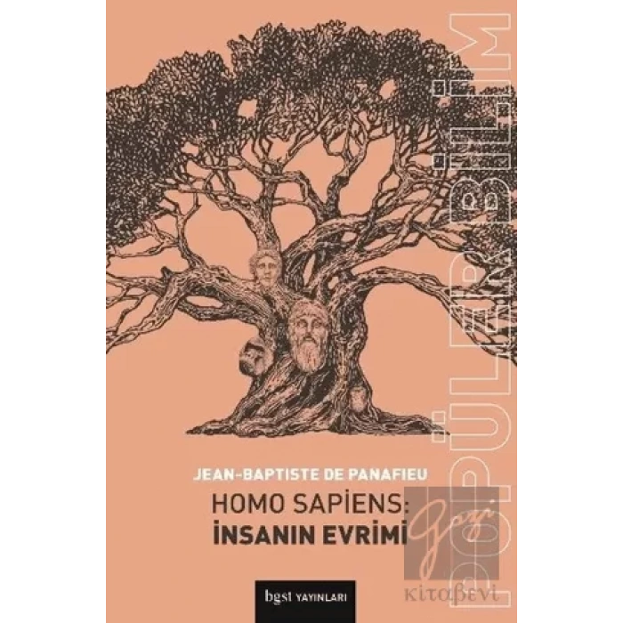 Homo Sapiens: İnsanın Evrimi