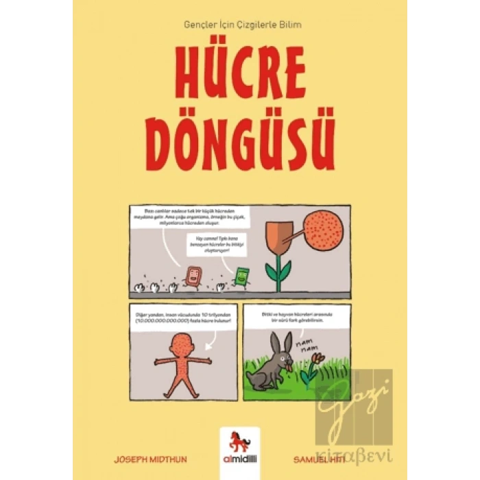 Hücre Döngüsü - Gençler İçin Çizgilerle Bilim