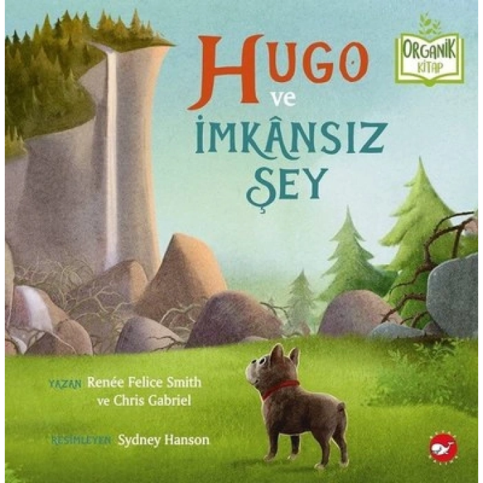 Hugo ve İmkansız Şey