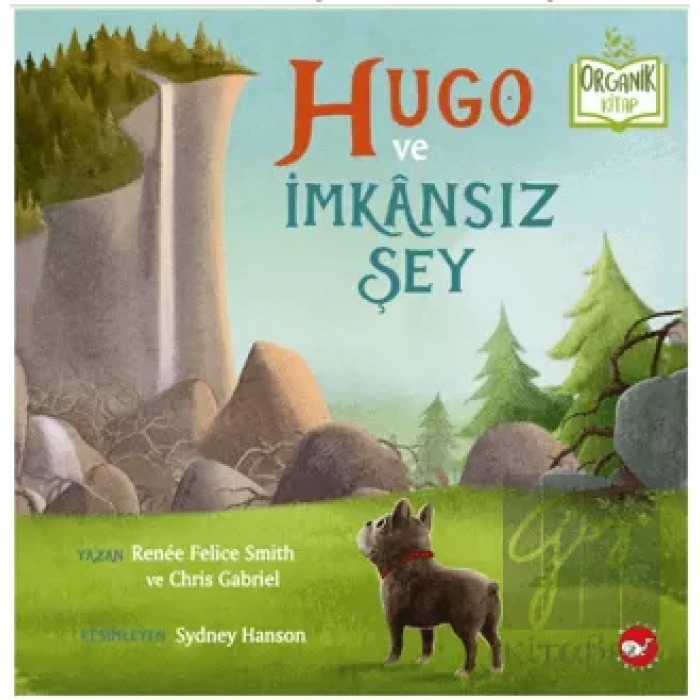 Hugo ve İmkânsız Şey