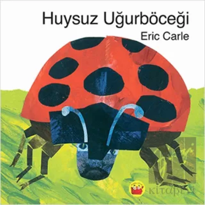 Huysuz Uğurböceği