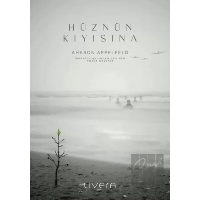 Hüznün Kıyısına