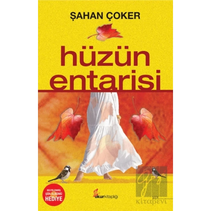 Hüzün Entarisi