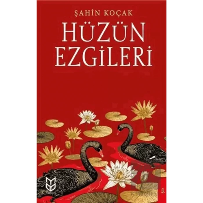 Hüzün Ezgileri
