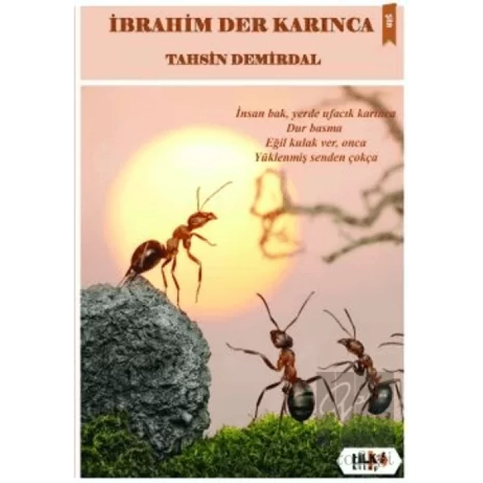 İbrahim Der Karınca