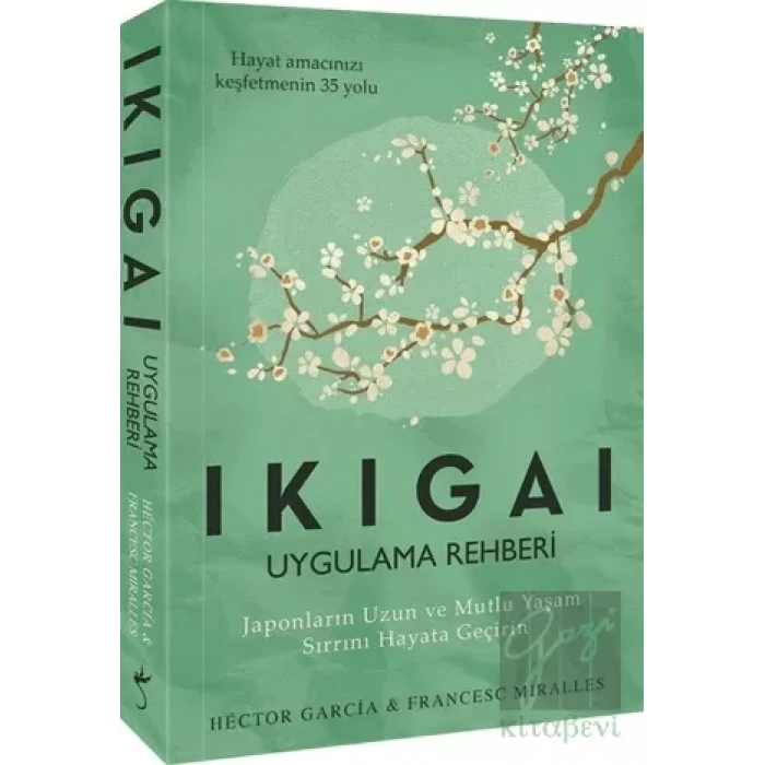 Ikigai - Uygulama Rehberi