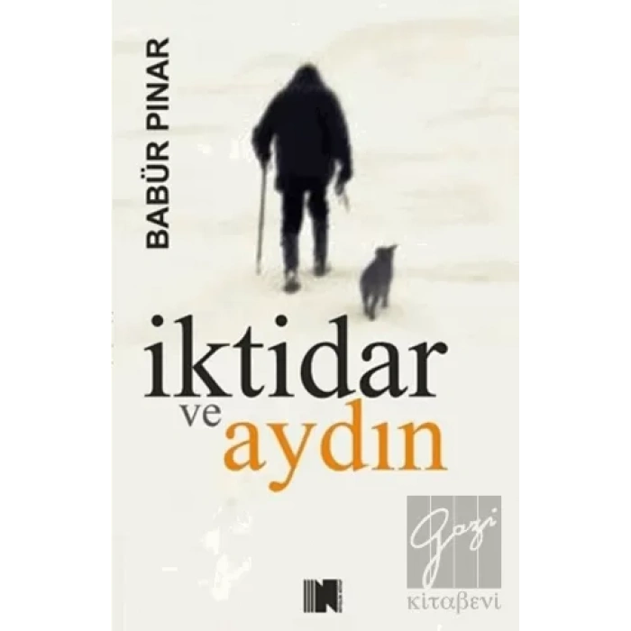İktidar ve Aydın