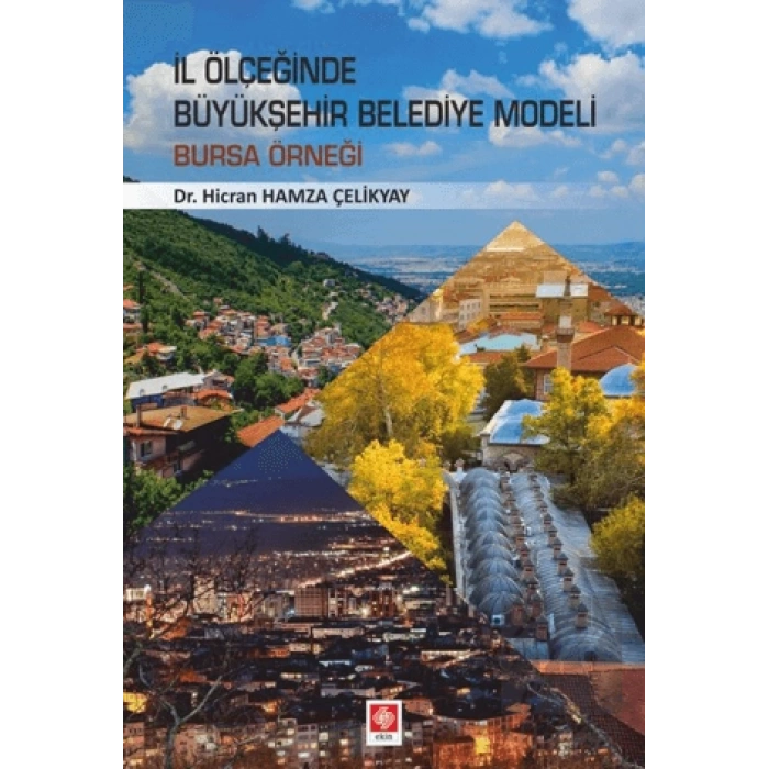 İl Ölçeğinde Büyükşehir Belediye Modeli: Bursa Örneği