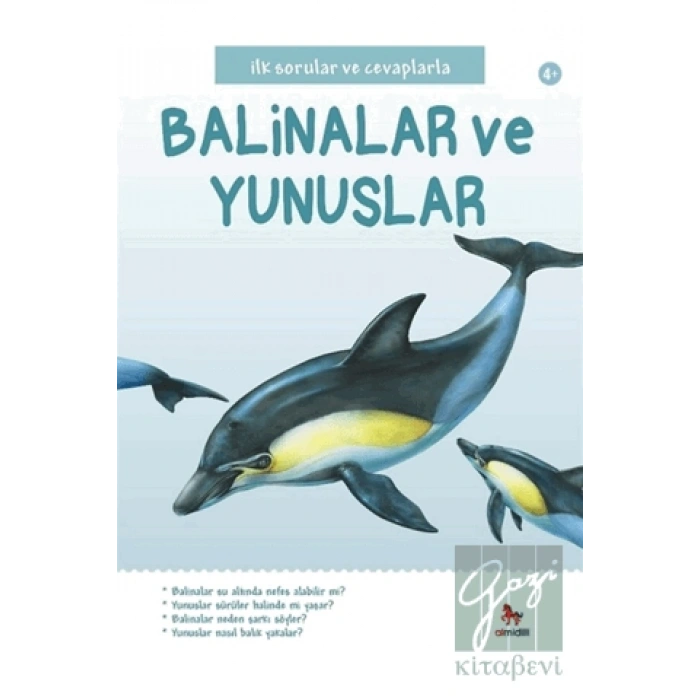 İlk Sorular ve Cevaplarla: Balinalar ve Yunuslar
