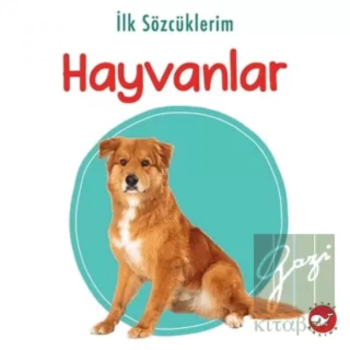 İlk Sözcüklerim - Hayvanlar