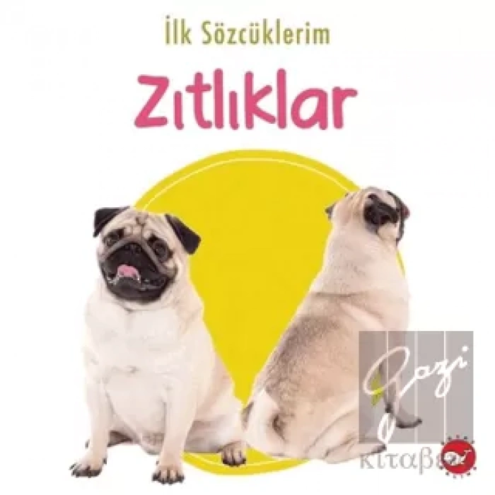 İlk Sözcüklerim - Zıtlıklar