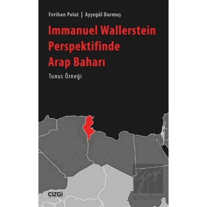 Immanuel Wallerstein Perspektifinde Arap Baharı Tunus Örneği