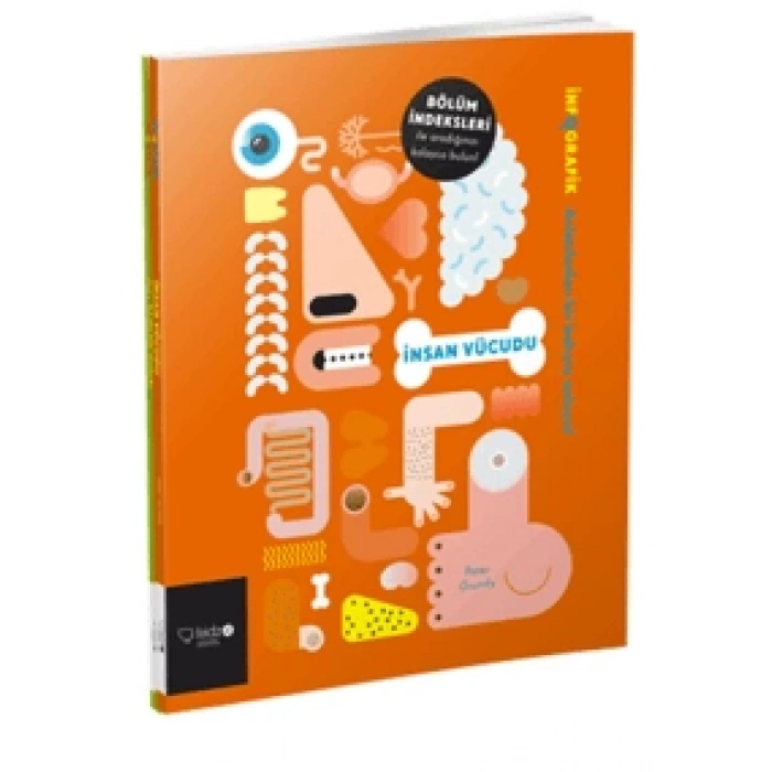 İNFOGRAFİK SERİSİ- İNSAN VÜCUDU