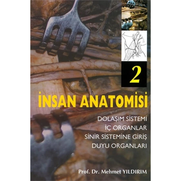 İNSAN ANATOMİSİ 2