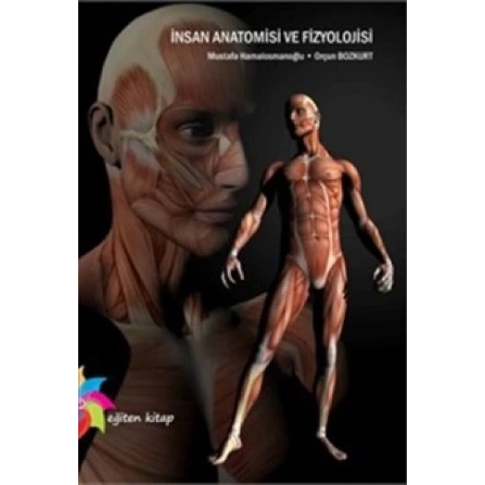 İnsan Anatomisi ve Fizyolojisi