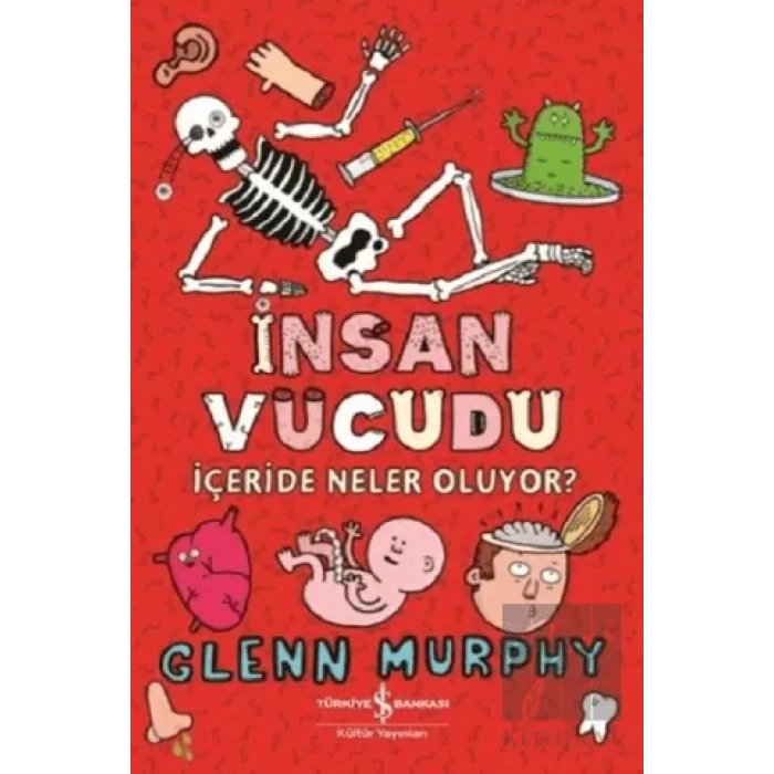 İnsan Vücudu