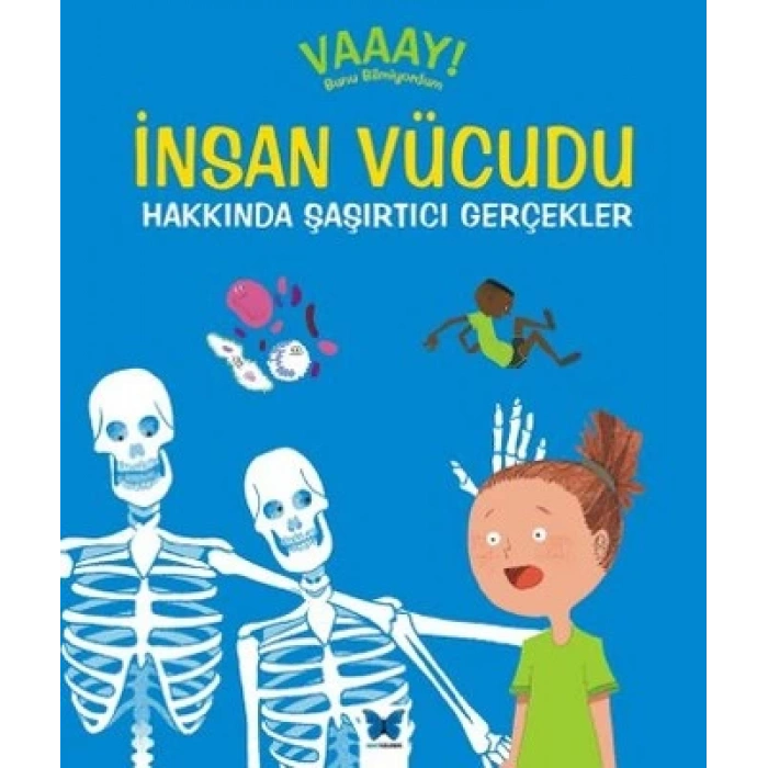 İnsan Vücudu Hakkında Şaşırtıcı Gerçekler
