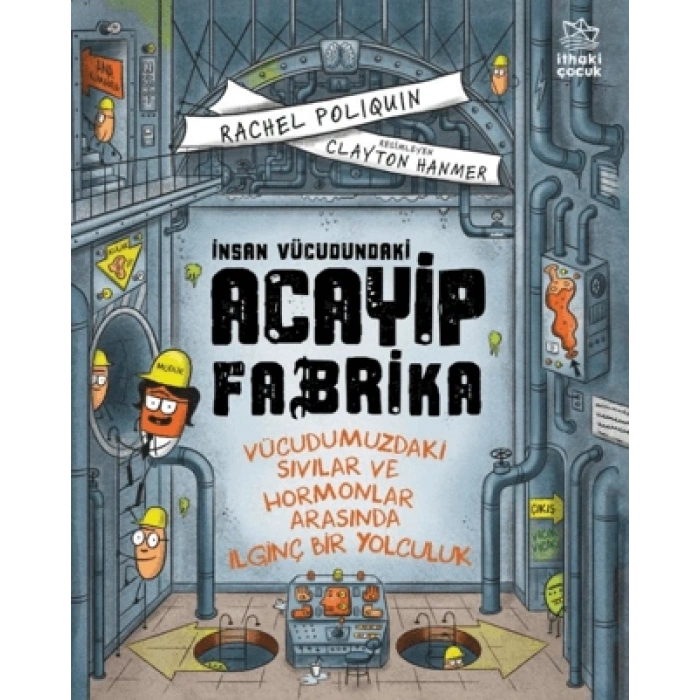 İnsan Vücudundaki Acayip Fabrika