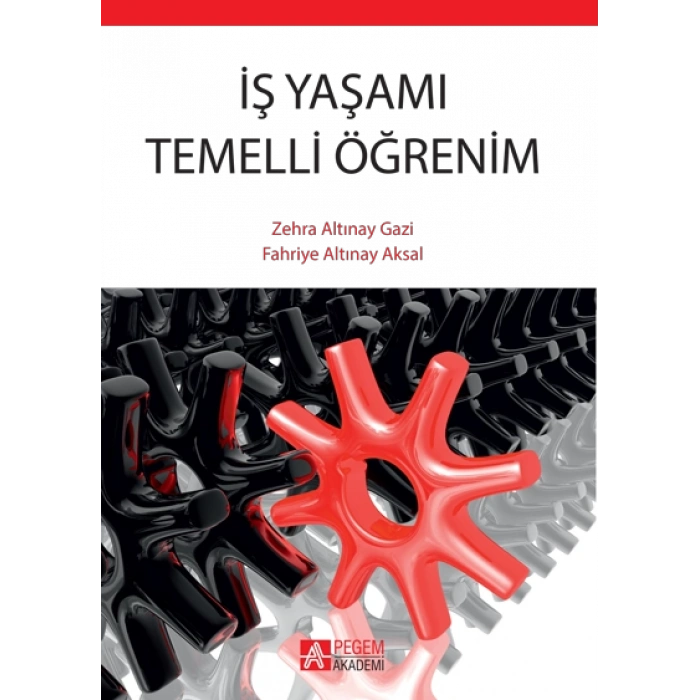 İş Yaşamı Temelli Öğrenim