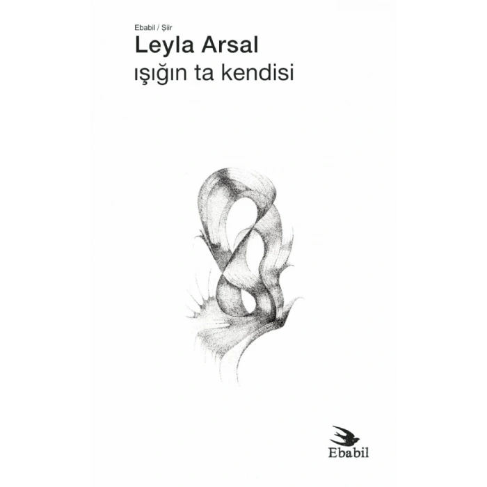 Işığın Ta Kendisi (Şiir)