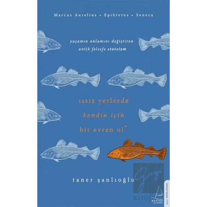 Issız Yerlerde Kendin İçin Bir Evren Ol