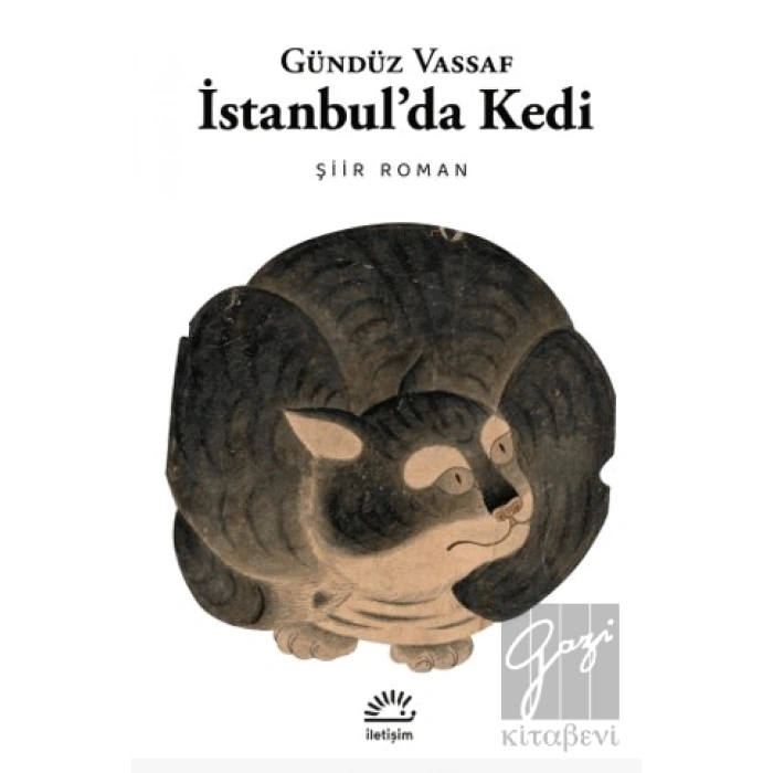 İstanbulda Kedi