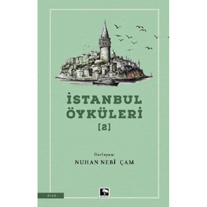 İstanbul Öyküleri - 2