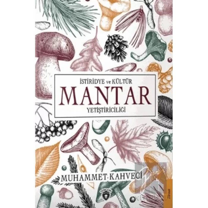 İstiridye ve Kültür Mantar Yetiştiriciliği