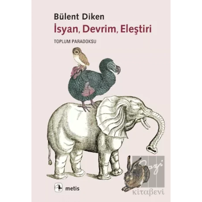 İsyan, Devrim, Eleştiri