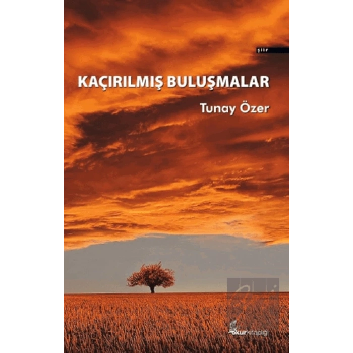 Kaçırılmış Buluşmalar