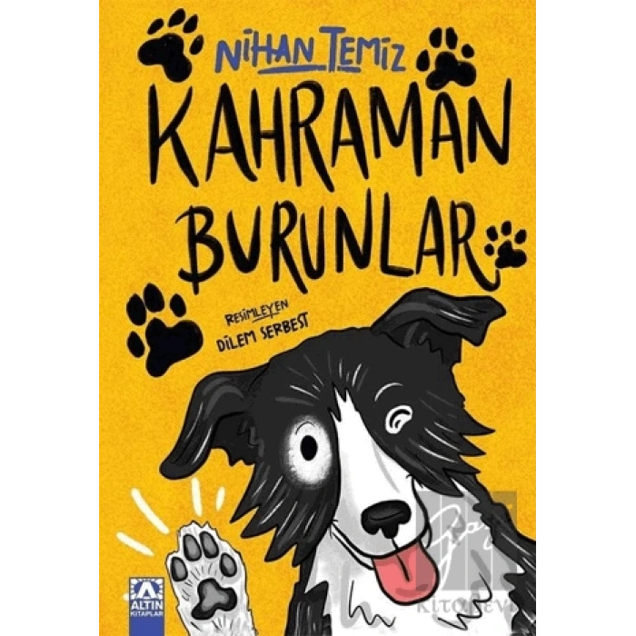 Kahraman Burunlar
