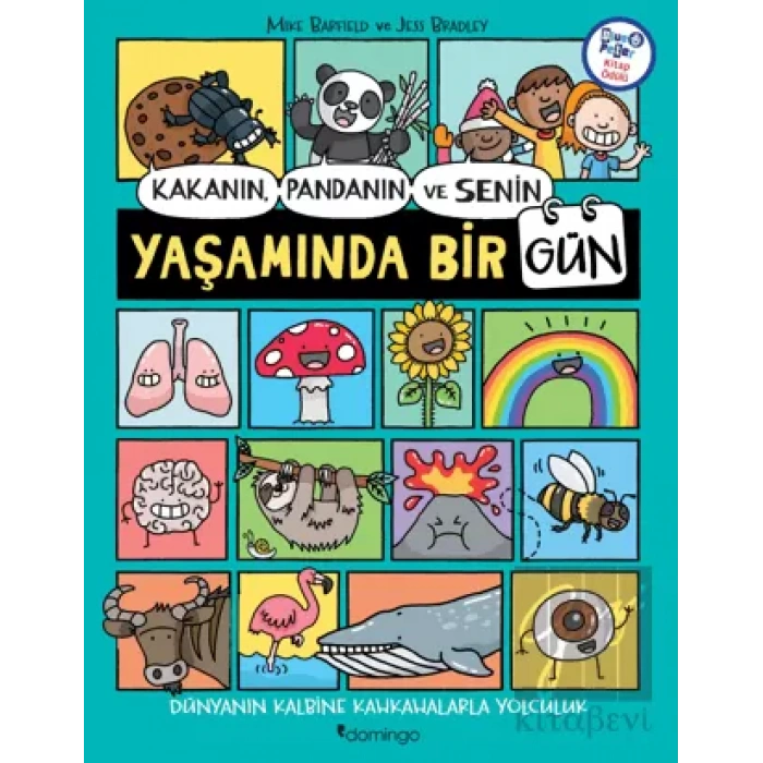 Kakanın, Pandanın ve Senin Yaşamında Bir Gün