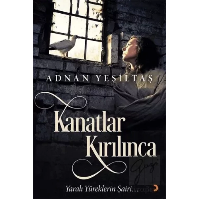 Kanatlar Kırılınca