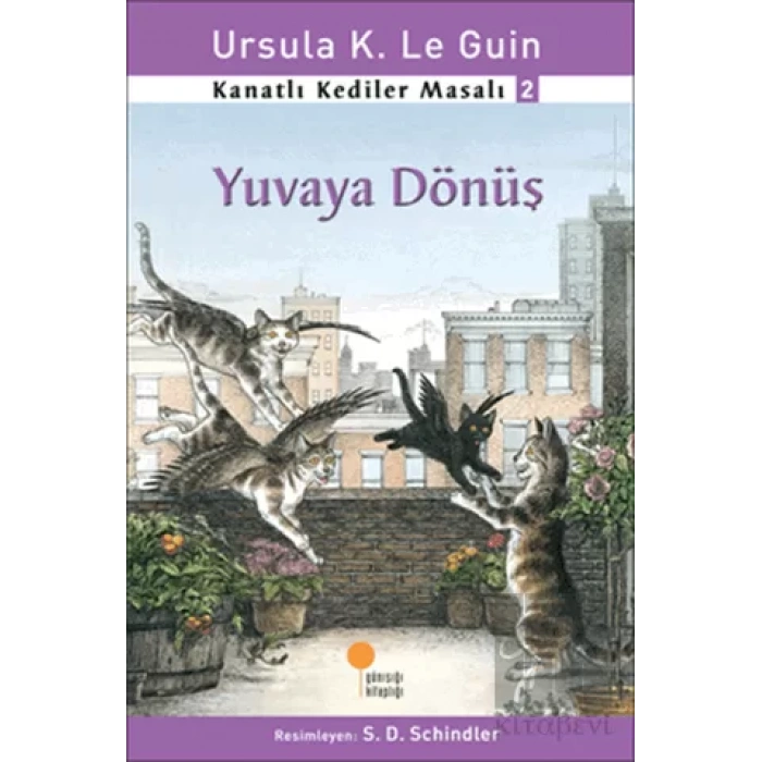 Kanatlı Kediler Masalı 2 - Yuvaya Dönüş