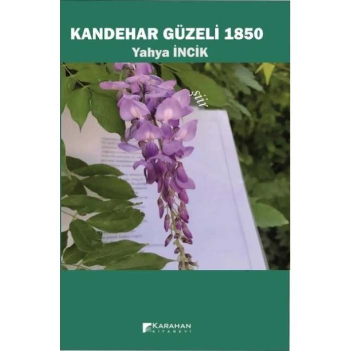 KANDEHAR GÜZELİ 1850