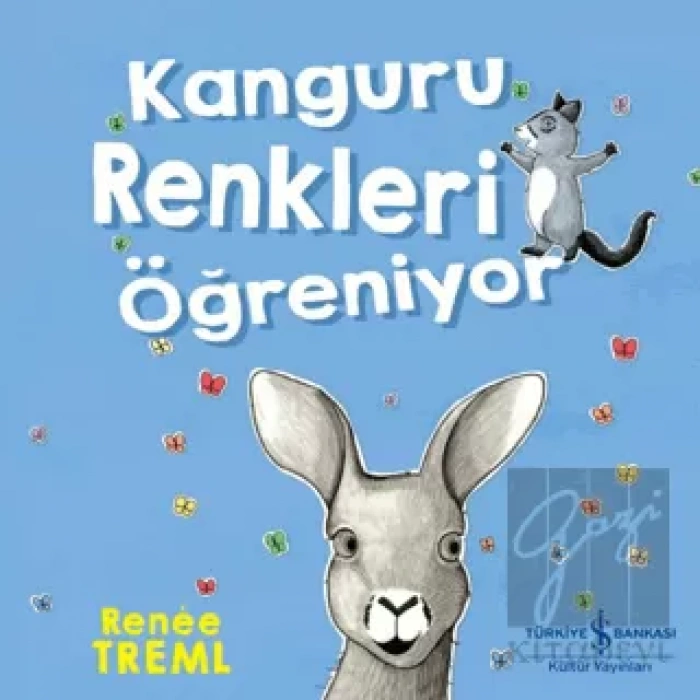 Kanguru Renkleri Öğreniyor