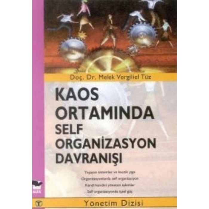Kaos Ortamında Self Organizasyon Davranışı