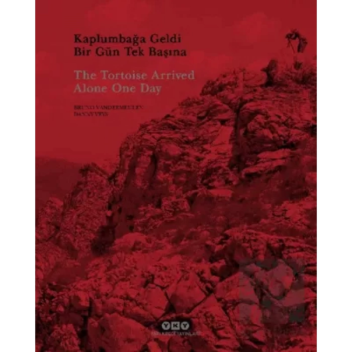 Kaplumbağa Geldi Bir Gün Tek Başına