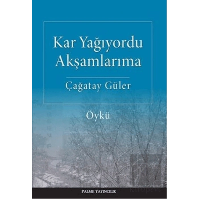 Kar Yağıyordu Akşamlarıma