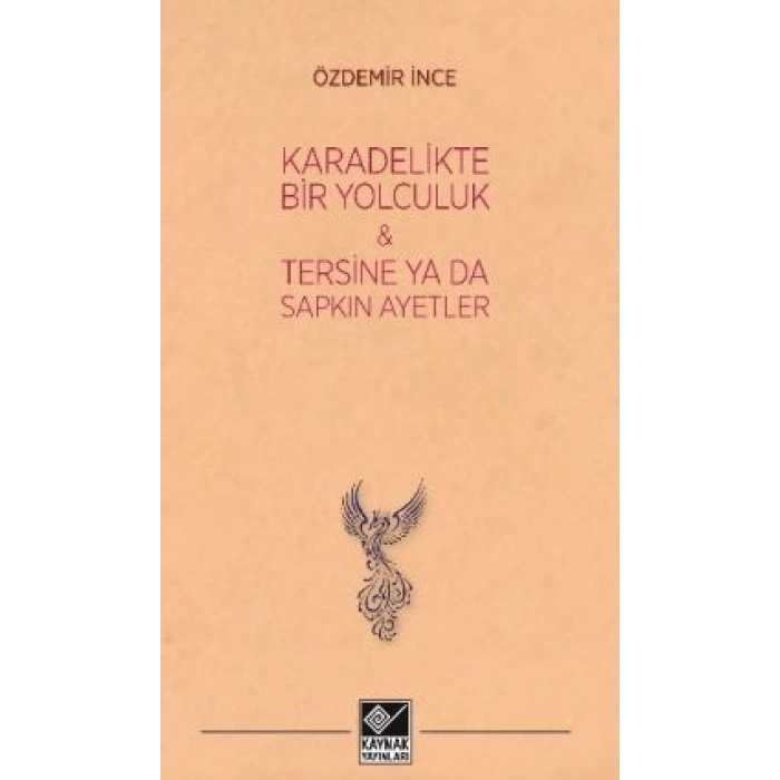 Kara Delikte Bir Yolculuk ve Tersine ya da Sapkın Ayetler