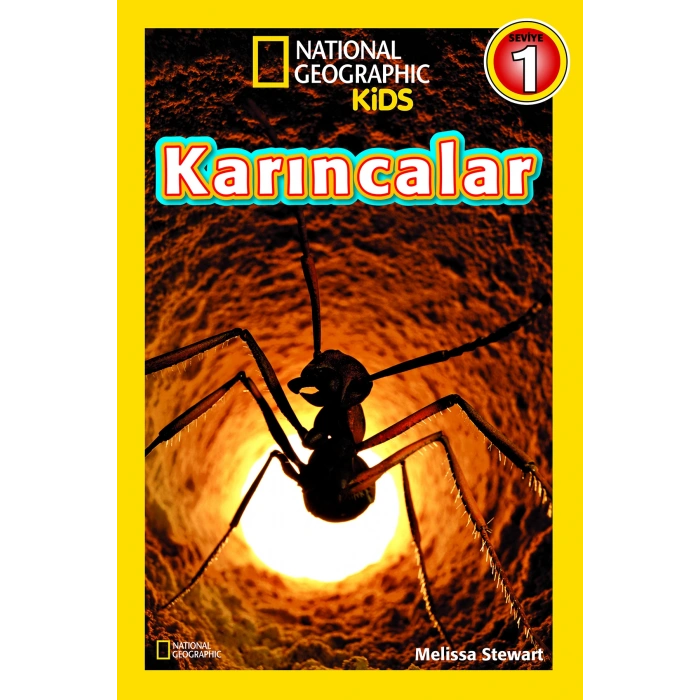 Karıncalar