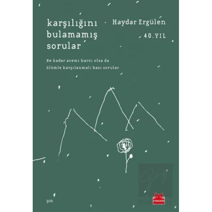 Karşılığını Bulamamış Sorular