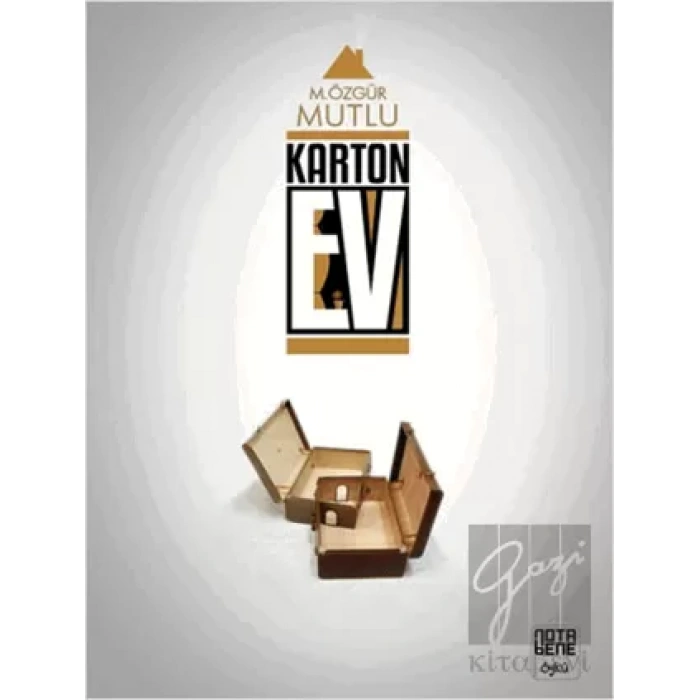 Karton Ev