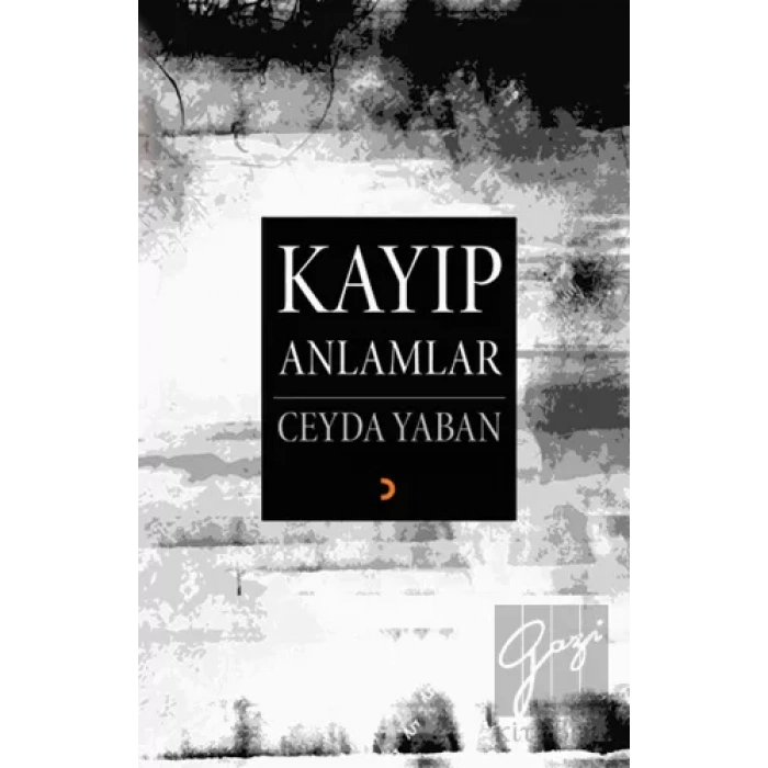 Kayıp Anlamlar