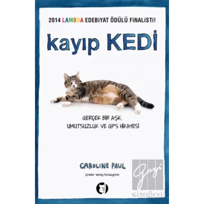 Kayıp Kedi
