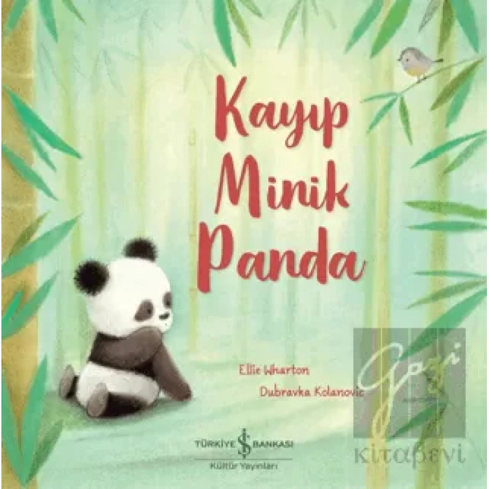 Kayıp Minik Panda