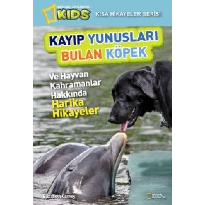 Kayıp Yunusları Bulan Köpek