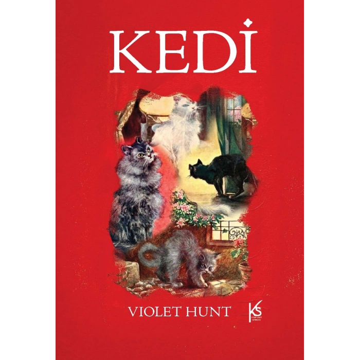 Kedi