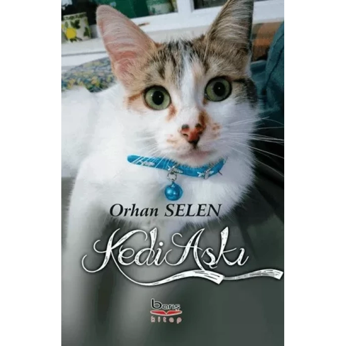 Kedi Aşkı